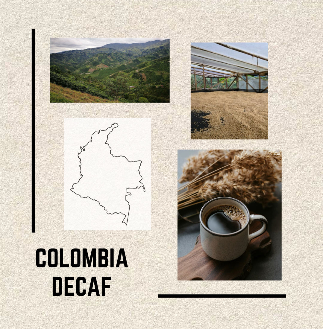 Colombia Decaf