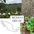 Mexico Decaf